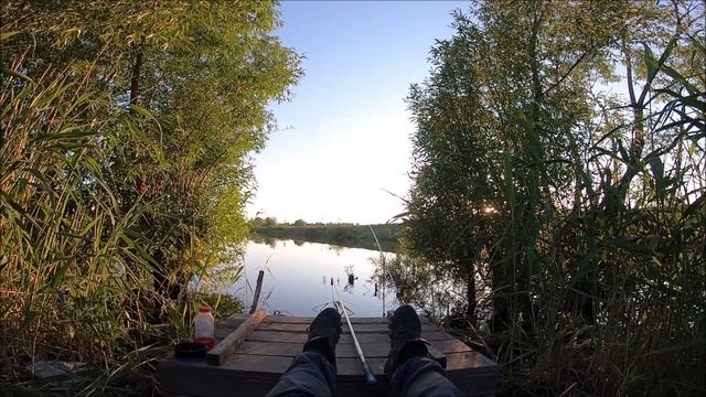 Ловлю на лёгкий пикер!Выкармливаю карася! смотреть онлайн