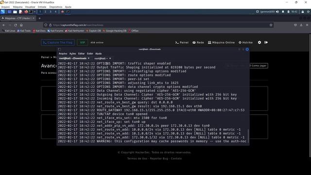 COMO COMEÇAR A JOGAR CTF - Capture The Flag - HackerSec смотреть онлайн