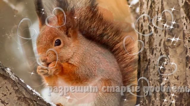 Доброго утра желаю!? Пусть утро будет позитивным? Добрые пожелания?Good morning!? смотреть онлайн