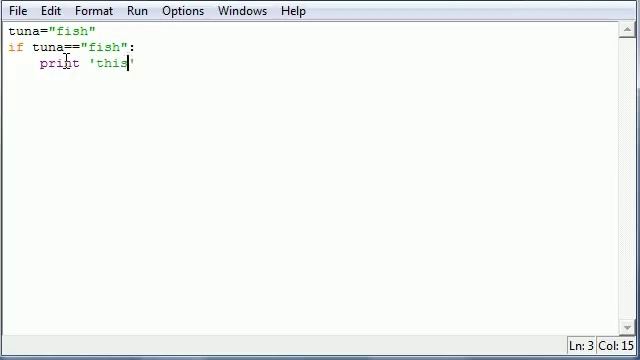 Python Programming Tutorial - 20 - If Statement смотреть онлайн