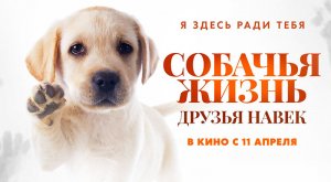 Собачья жизнь: Друзья навек (2023) трейлер