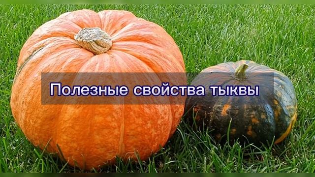 ТЫКВА - ПОЛЬЗА И ВРЕД ДЛЯ ОРГАНИЗМА смотреть онлайн