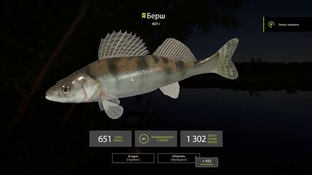 Русская рыбалка 4. Берш трофейный. Сура. Rusian fishing 4. смотреть онлайн