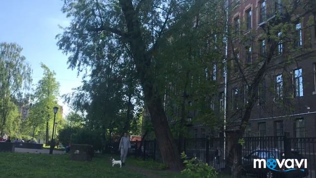 ◾️ Путешествие французского бульдога смотреть онлайн