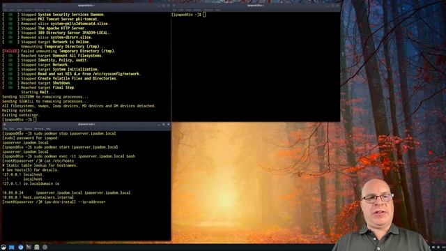 FreeIPA on Arch Linux Demo смотреть онлайн