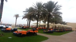 Bahi Ajman Palace 5*, ОАЭ,  Эмират Аджман