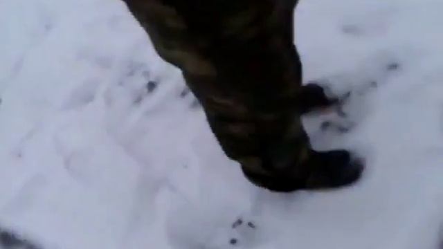 По тонкому льду. смотреть онлайн