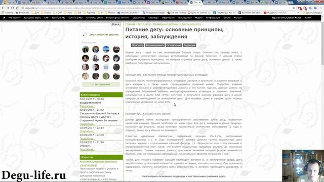 Питание дегу, основные принципы, история, заблуждения смотреть онлайн