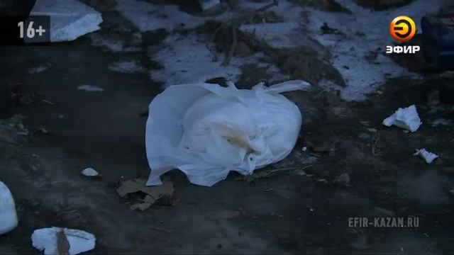 В Казани более 30 несанкционированных свалок смотреть онлайн