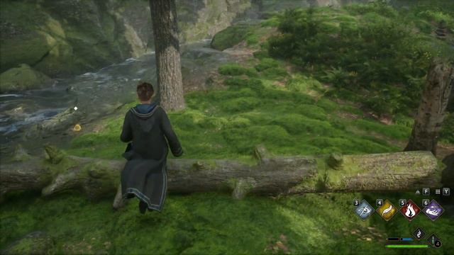 Hogwarts Legacy (HARD) #14: Forbidden Forest смотреть онлайн