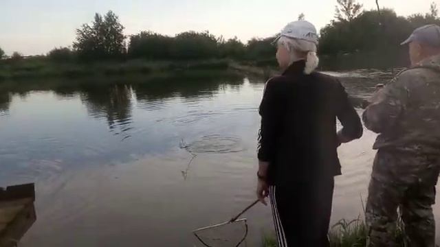 Стрелецкий Ручей 20/06- 1 смотреть онлайн
