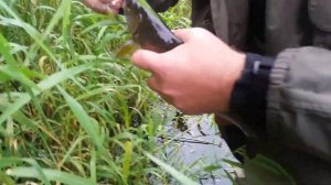 Хариус в Тверской области