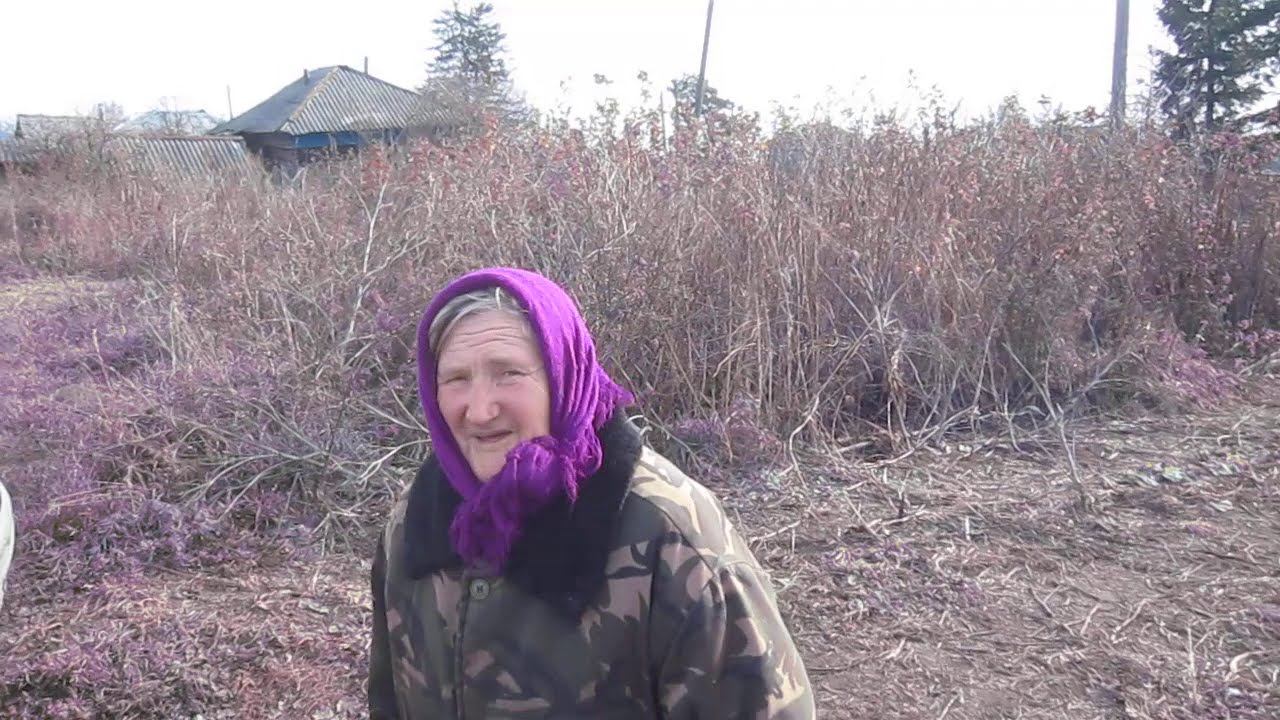 Деревня СИБИРСКАЯ. ТЫКВЫ. КАБАЧКИ. БАБУШКА. смотреть онлайн