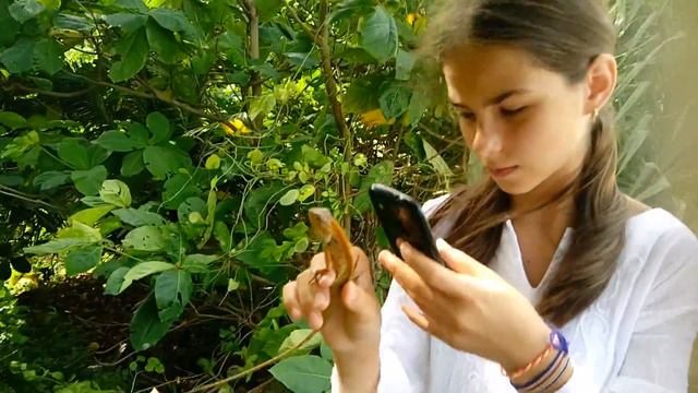 Эвелина поймала игуану в Пхукете смотреть онлайн
