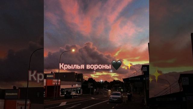 [✨|Мой дикий сад|Крылья вороны|✨] смотреть онлайн