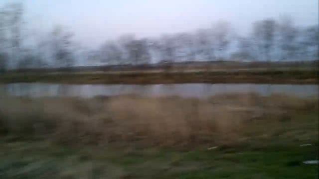 Гусь и лягушка смотреть онлайн