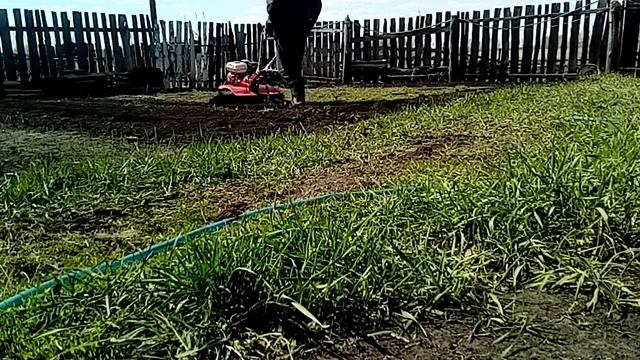 Вспашка мотоблоком