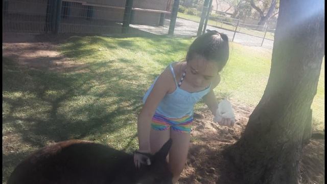 Glen Forest Tourist Park Port Lincoln South Australia смотреть онлайн