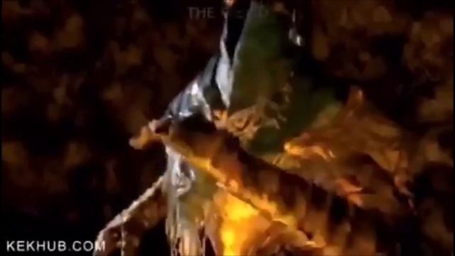 Drunken sailor (dark souls) смотреть онлайн