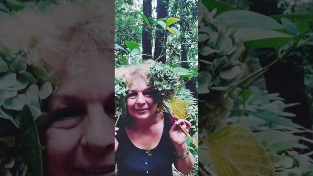 Впечатления от ботанического сада Батуми смотреть онлайн