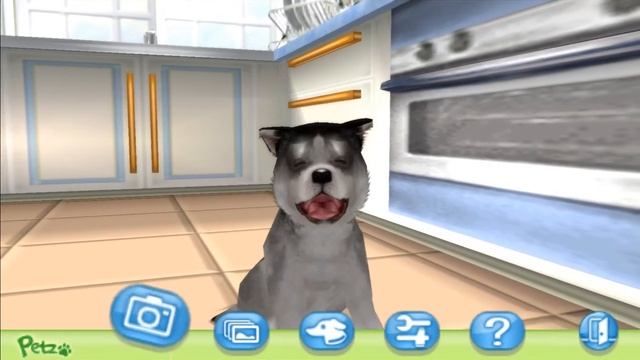 Petz My Puppy Family - PlayStation Portable Sony PSP - PPSSPP - test Windows 10 смотреть онлайн