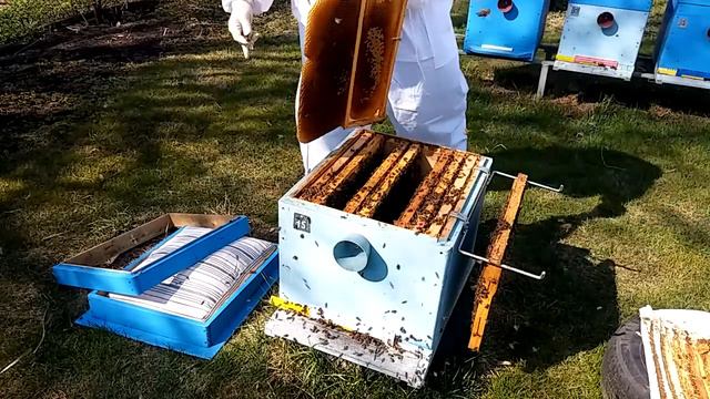 Ревизия отцовской семьи. смотреть онлайн