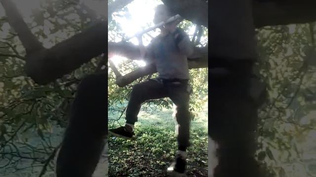 Подтягивание 6 лет смотреть онлайн