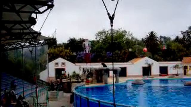 начало с котиком смотреть онлайн