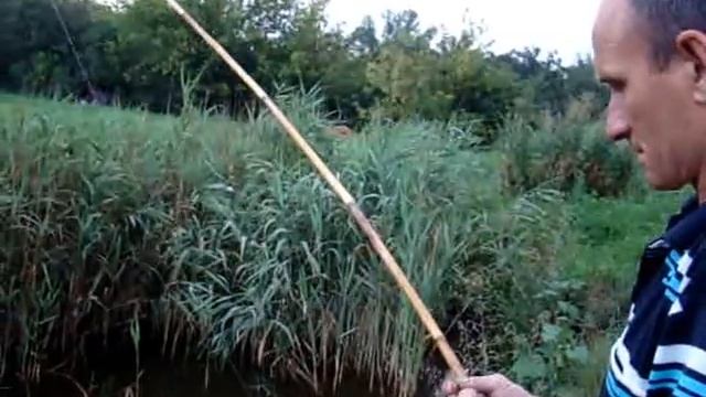 карп и камышина смотреть онлайн