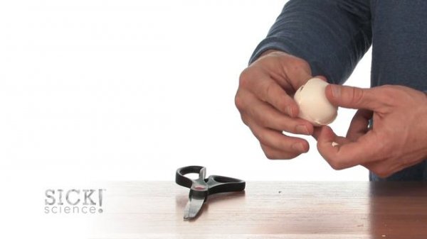 10 Amazing Egg Experiments - Steve Spangler Science