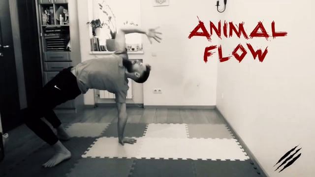 Animal Flow