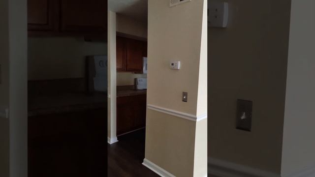 One Bedroom Apartment in USA looks like | Florida смотреть онлайн
