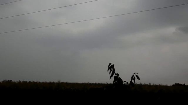 Гром!Звук грома!Сильный гром!Грохот,раскат грома!