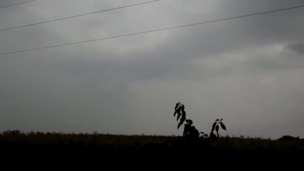 Гром!Звук грома!Сильный гром!Грохот,раскат грома!