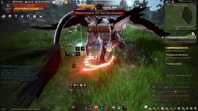 Black Desert Online 268 AP Awakening Ninja Dark Rift Boss Ahib Griffon Level V 5 смотреть онлайн