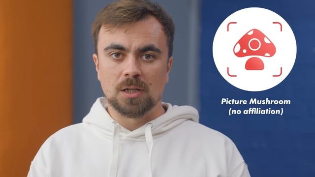 How I learned to forage wild mushrooms without dying смотреть онлайн