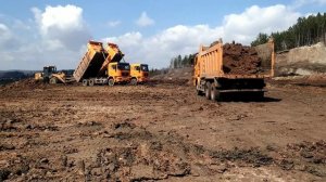 Карьерные самосвалы Шакман