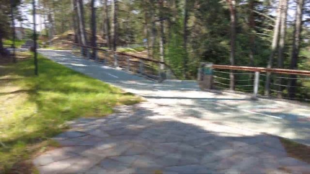 Город Сосновый бор смотреть онлайн