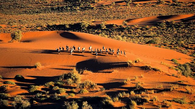 Namibia ( Намибия )