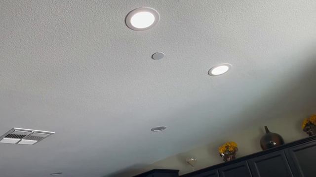 Philips v Philips смотреть онлайн