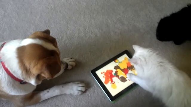 Perl and Zen play Paint with Cats смотреть онлайн