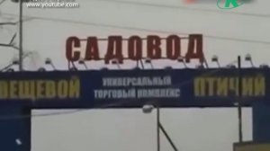 Рынок «Садовод» закрывают