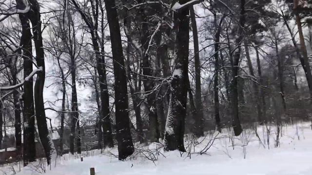 Оптина пустынь смотреть онлайн