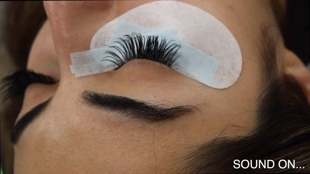 LASH WITH ME | WHISPY WET SET | VEYES | смотреть онлайн