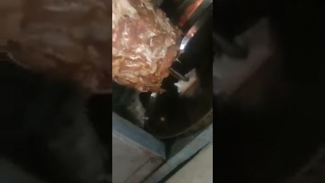 Обнаружен мышь кусает в мясо каторый называется Шаурма в турецком магазине!!!! смотреть онлайн