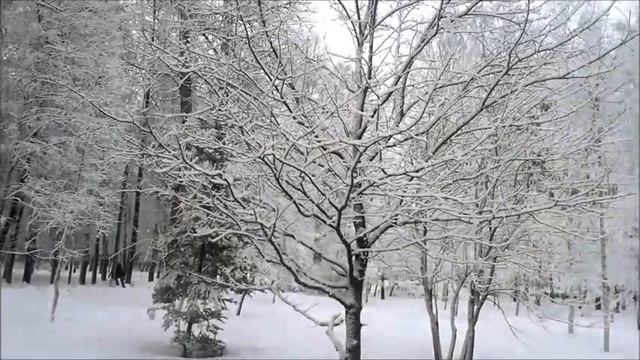 Сергей Есенин. "Клён ты мой опавший" смотреть онлайн