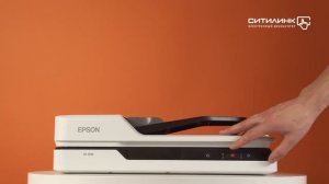 Обзор сканера EPSON WorkForce DS-1630 | Ситилинк