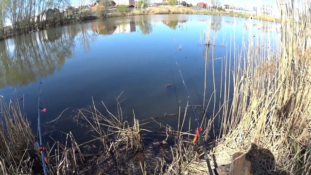ТАРАНЬ ВЕСНОЙ на ПОПЛАВОК, ловля краснопёрки в запрет смотреть онлайн