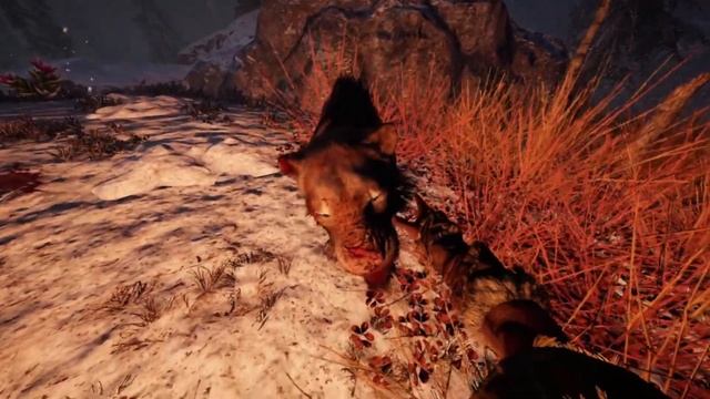 TEST FARCRY PRIMAL || 1080-720 || GT1030 + I3-10105F + 16GB RAM смотреть онлайн