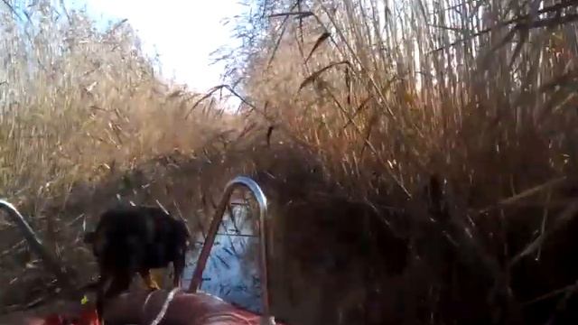 щука 03,11,13 смотреть онлайн